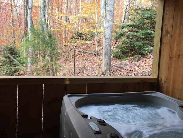 Hot Tub looking into the Pisgah National Forest!