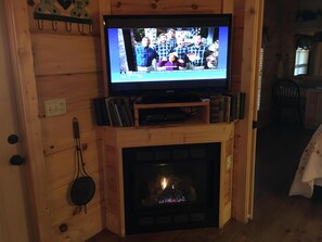 TV and fireplace in living room