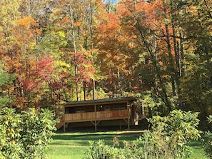 looking up at the cabin! (looks like a dream)