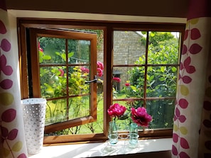 Vista desde la habitación
