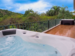 2 Jacuzzis with a view of the Rainforest