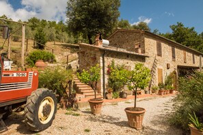 La fattoria Vignanova 