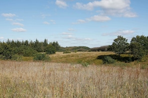Vue sur l'eau