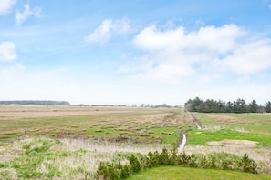 Vue sur l'eau