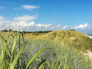 Vue sur l'eau