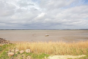 Vue sur l'eau