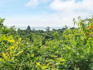Vue sur l'eau