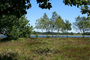Utsikt över vatten