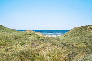 Vue sur l'eau