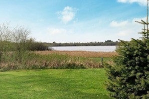 Vue sur l'eau