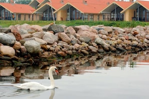 Vue sur l'eau