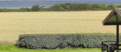 Terrenos do alojamento