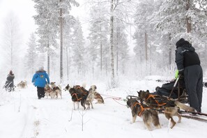 Skidåkning och snöaktiviteter