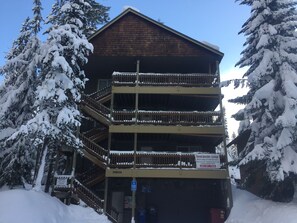 Boardwalk Lodge Winter Wonder Lodge 