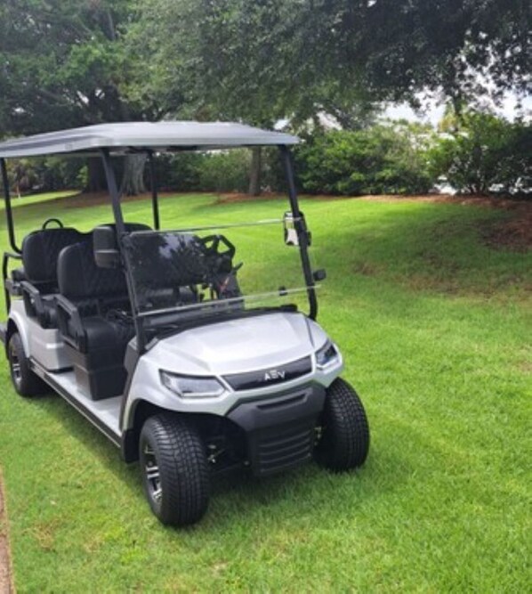 Just purchased (7-3-24) brand new 2024 six passenger golf cart