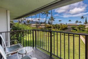 Take in the beautiful weather and tropical scenery while enjoying your morning coffee, or with an evening glass of Pinot as the sun sets over the ocean in the distance.