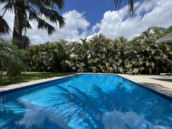 Your private swimming hole!