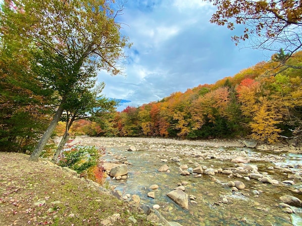 River Views from the back porch!