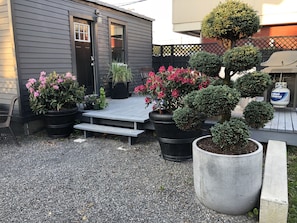 Deck off living room w/ lovely topiary