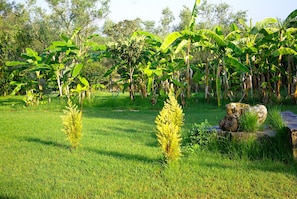 Parco della struttura