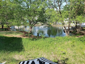 pond behind house for fishing