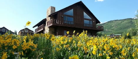 Rustic cabin set in spectacular wildflower meadow!