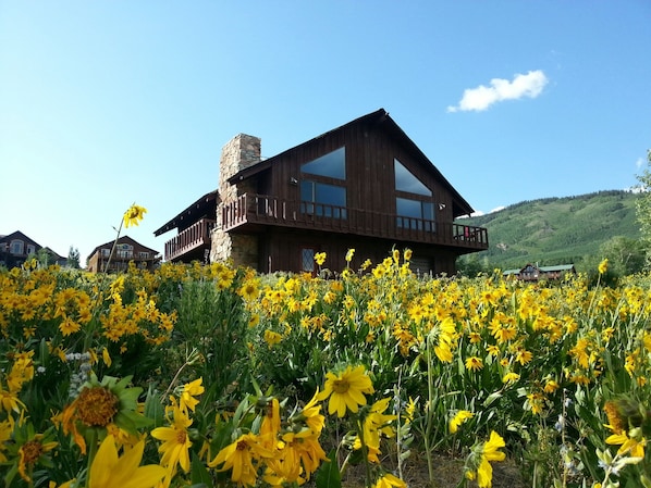 Rustic cabin set in spectacular wildflower meadow!