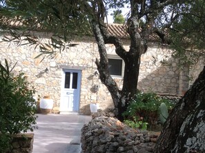 The front door and shade from an old almond tree