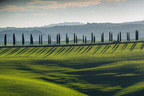 View from Podere Ampella. 