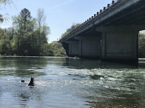 Little Red River at Swinging Bridge