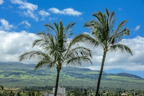 Views of Haleakala from Your Lanai!