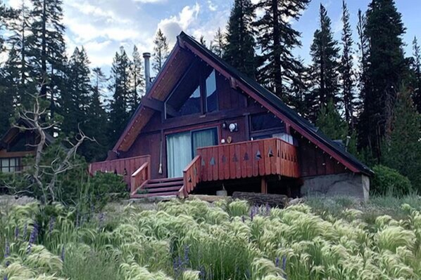 Summer Exterior