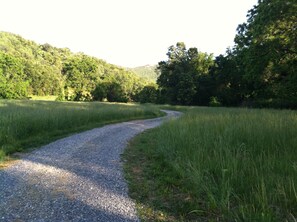 ...the beautiful 0.4 mile drive back to the cabin