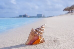 Our beach, just a few steps from the house. Btw, the best beach in Aruba!