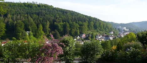 Ihr Ausblick auf  Bad Herrenalb