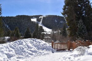 Walking Path to the Slopes - Walking Path to the Slopes