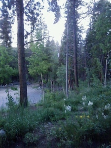 Amazing Mtn Log Cabin, Hot Tub, Secluded, near Breckenridge!  Serene Awesomeness