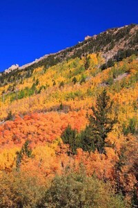 Amazing Mtn Log Cabin, Hot Tub, Secluded, near Breckenridge!  Serene Awesomeness