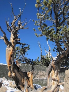 Amazing Mtn Log Cabin, Hot Tub, Secluded, near Breckenridge!  Serene Awesomeness