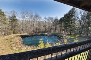 View from back deck
