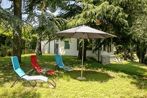 The garden with sunbeds