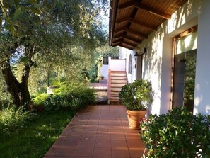 Front of the house