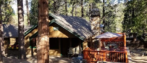 Cabin in the woods under the pines. 