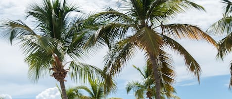 Cowpet Bay Beach offers chairs & chaises to relax