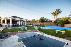 Ping Pong Table