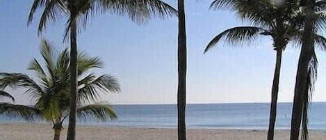 Fort Lauderdale Beach. A 15 minute drive!