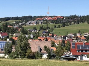 Utsikt från luften