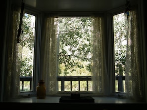 The view from the dining room's bay windows.