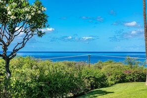 Ocean View from the Lanai