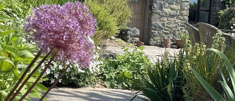 The beautiful garden and patio area 